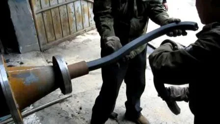 Máquina extrusora de briquetas de polvo de carbón de carbón de fábrica de China (WSMB)